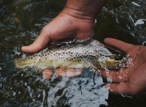 Fishing hot springs
